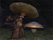 EverQuest 2 Cheats EQ2 Cheats EverQuest 2 Exploits EQ2 Exploits